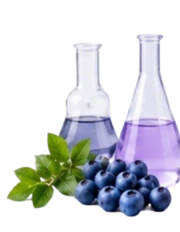 Vitamin Supplements